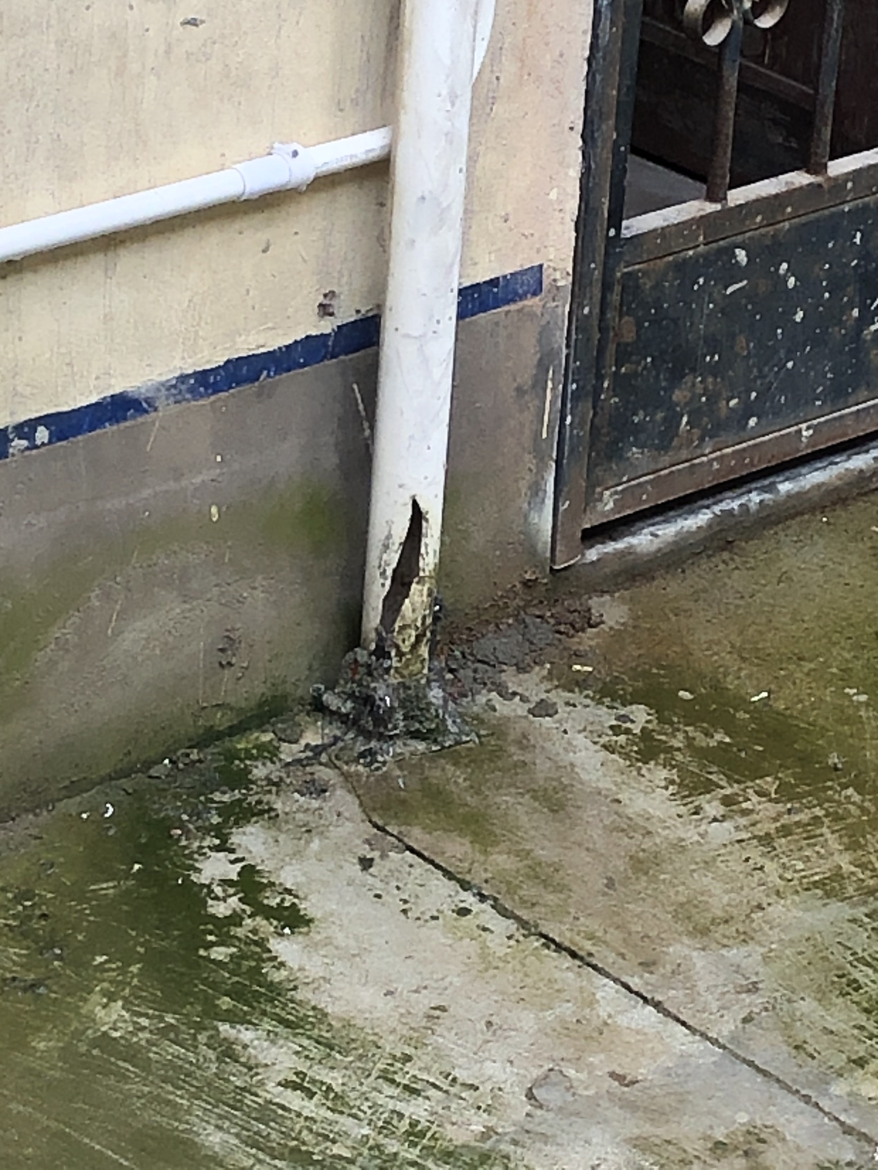 下水管破裂生活用水直排路面